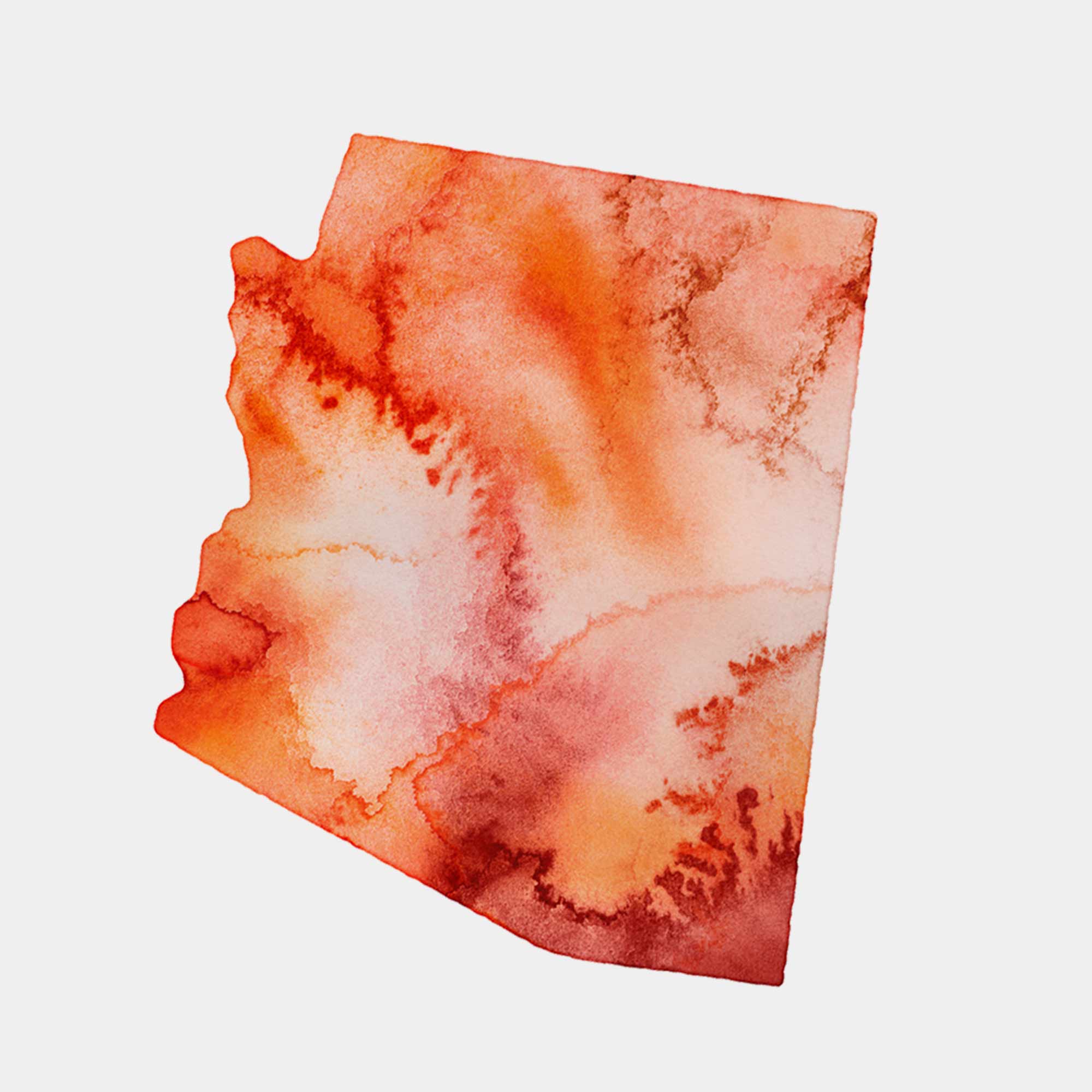 EJayDesign Countries Other Arizona Watercolour Gold Map