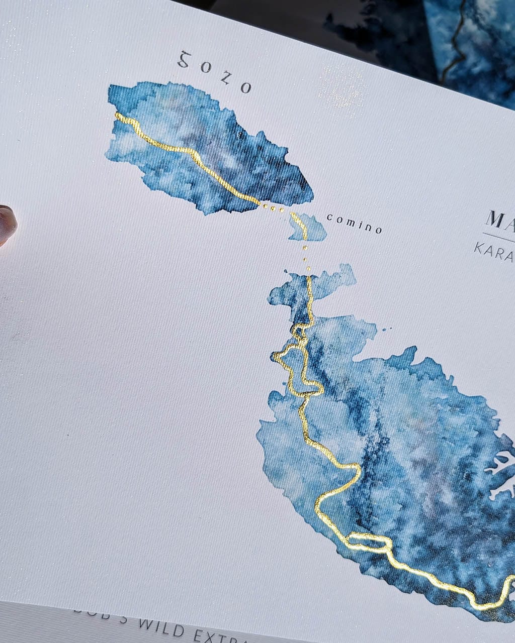 EJayDesign Posters, Prints, & Visual Artwork Malta: Maltese Falcon- Rat Race Map