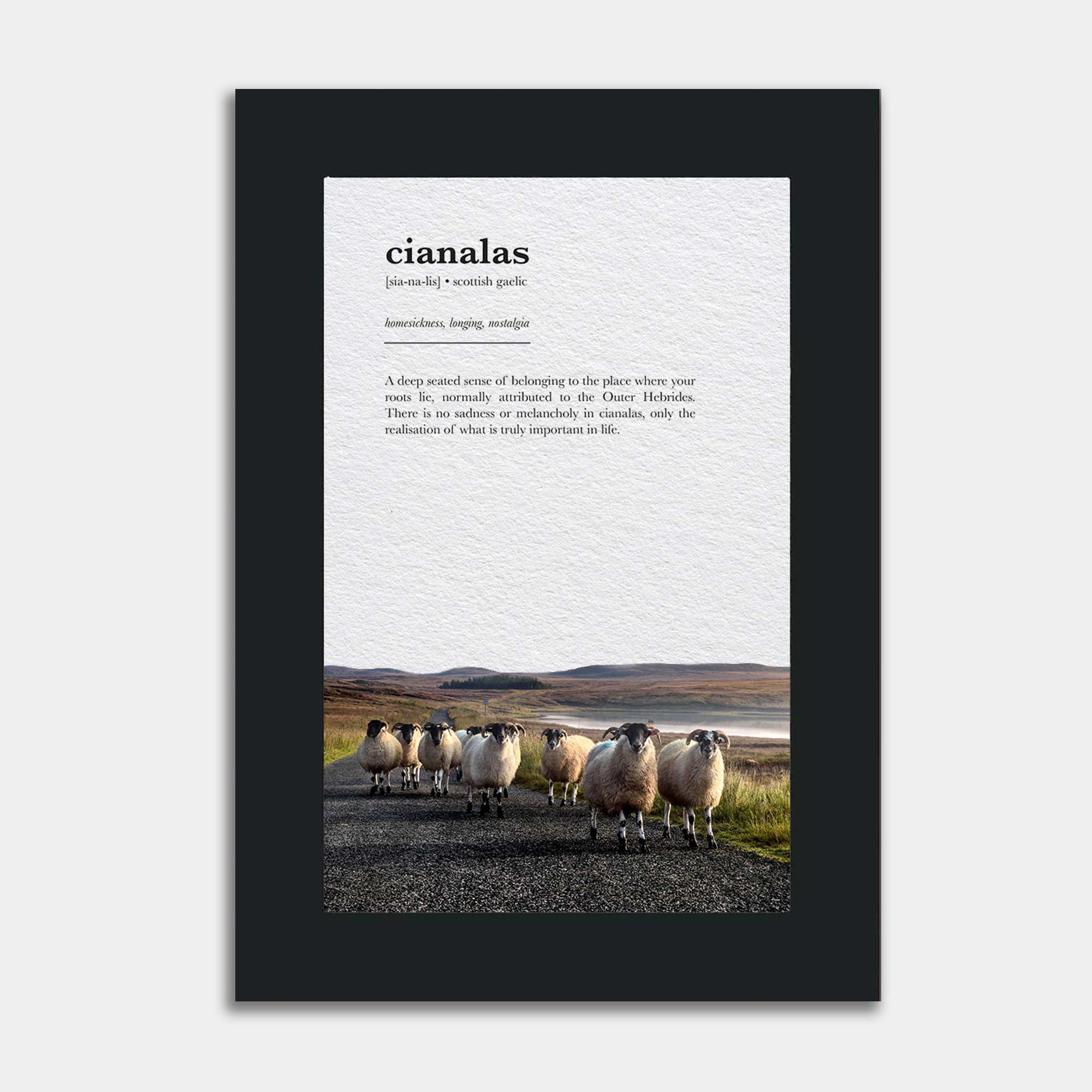 EJayDesign Sheep Photo / A4 Unframed Cianalas Gaelic Definition