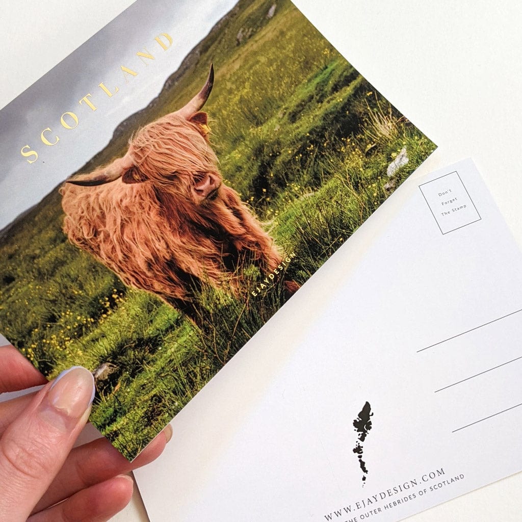 EJayDesign Highland Cow / No envelope required Scotland Gold Postcards